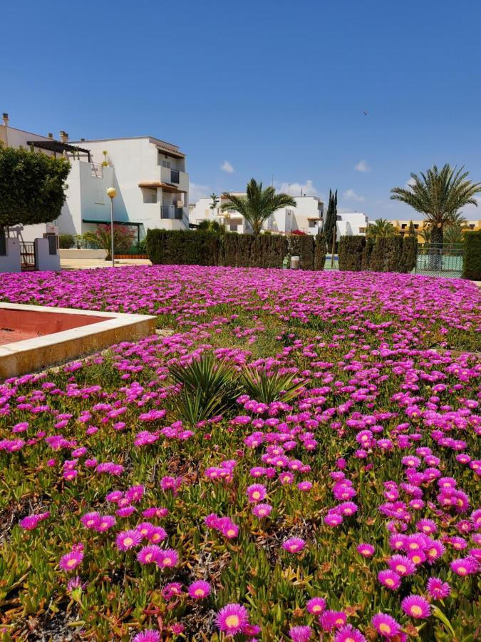 Apartamento Naturista En Primera Linea De Vera Playa!!! Las Bombardas Exterior foto
